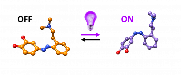 photoswitchable ligand